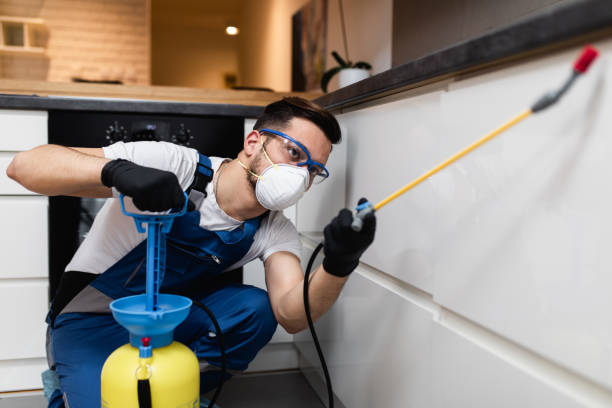 Wasp Removal Services in Williamsport, IN