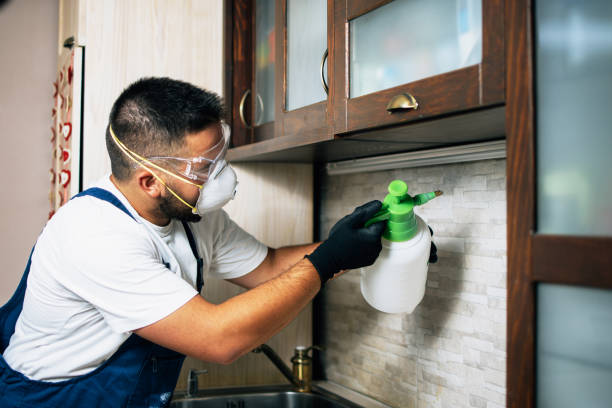 Best Pest Control for Homes  in Williamsport, IN