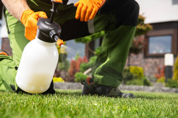 Best Flea Control Services  in Williamsport, IN
