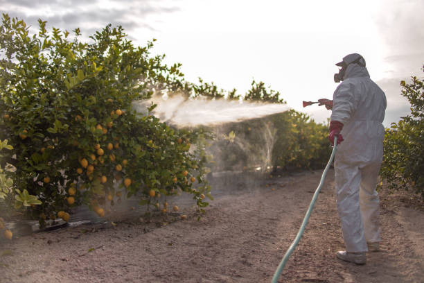 Best Bed Bug Extermination  in Williamsport, IN