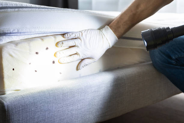 Reliable Williamsport, IN Pest Control Solutions