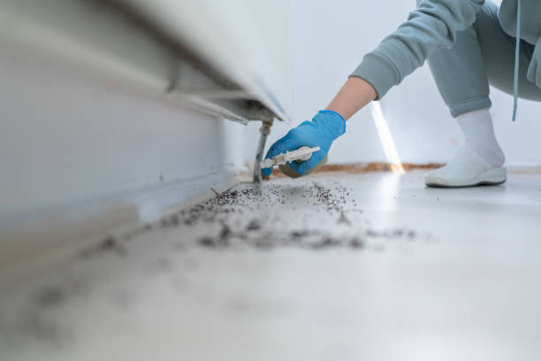 Best Pest Control for Restaurants  in Williamsport, IN